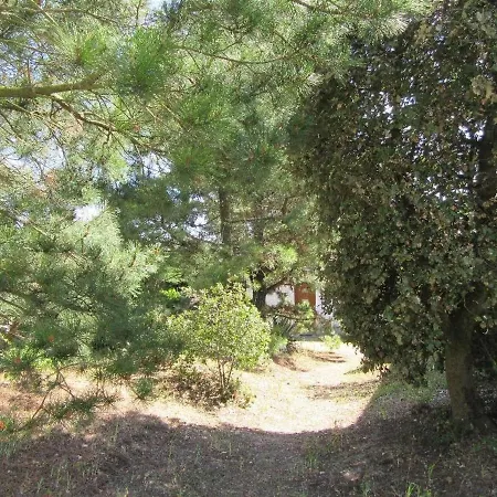 Maison Saint-hilaire-de-riez, 2 Pièces, 4 Personnes - Fr-1-91-40 Hébergement de vacances *